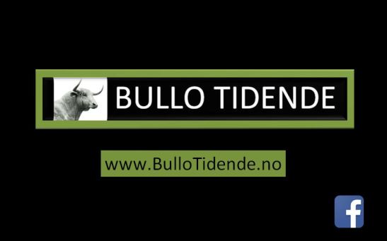 Bullo Tidende 2